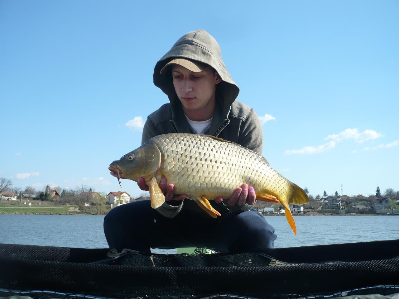 MV2 - 20.MAR.2014 - p1020237.JPG